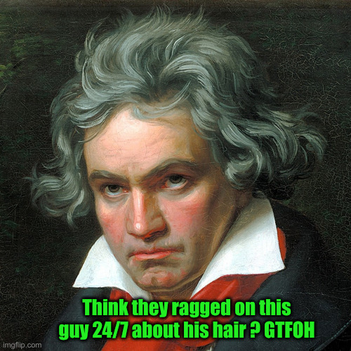 Hair Today, Vote For The One That Has No Weave | Think they ragged on this guy 24/7 about his hair ? GTFOH | image tagged in beethoven,political meme,politics,funny memes,funny,donald trump | made w/ Imgflip meme maker