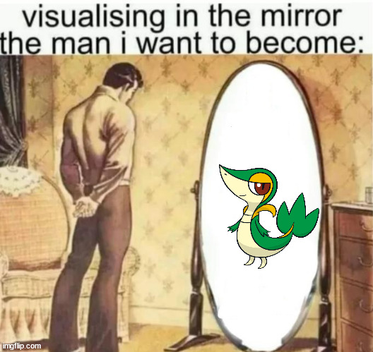 Visualising in the mirror the man i want to become: | image tagged in visualising in the mirror the man i want to become | made w/ Imgflip meme maker