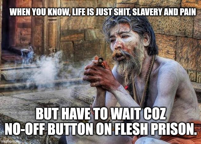 Life is shit memes | WHEN YOU KNOW, LIFE IS JUST SHIT, SLAVERY AND PAIN; BUT HAVE TO WAIT COZ NO-OFF BUTTON ON FLESH PRISON. | image tagged in not a single shit was given that day | made w/ Imgflip meme maker