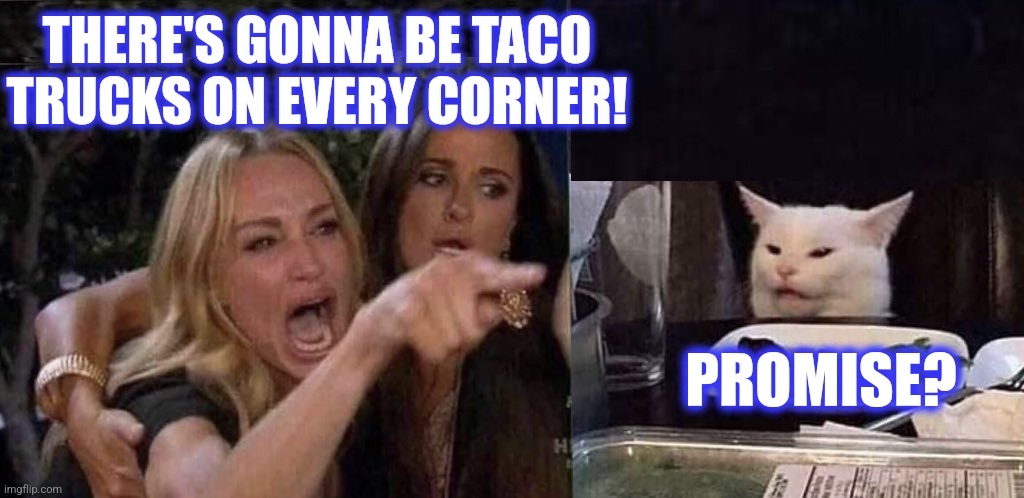 THERE'S GONNA BE TACO
TRUCKS ON EVERY CORNER! PROMISE? | image tagged in woman yelling at cat | made w/ Imgflip meme maker