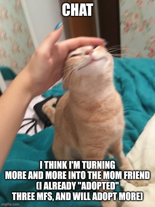>:3 | CHAT; I THINK I'M TURNING MORE AND MORE INTO THE MOM FRIEND
(I ALREADY "ADOPTED" THREE MFS, AND WILL ADOPT MORE) | image tagged in cat pat | made w/ Imgflip meme maker