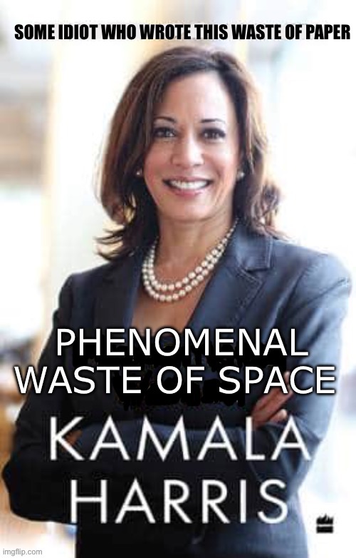 SOME IDIOT WHO WROTE THIS WASTE OF PAPER | made w/ Imgflip meme maker