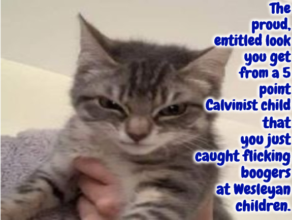 Proud And Entitled | The proud, entitled look you get from a 5 point Calvinist child; that you just caught flicking boogers at Wesleyan children. | image tagged in calvinism,arminian,molinisim,childish,proud and entitled,wesleyan | made w/ Imgflip meme maker