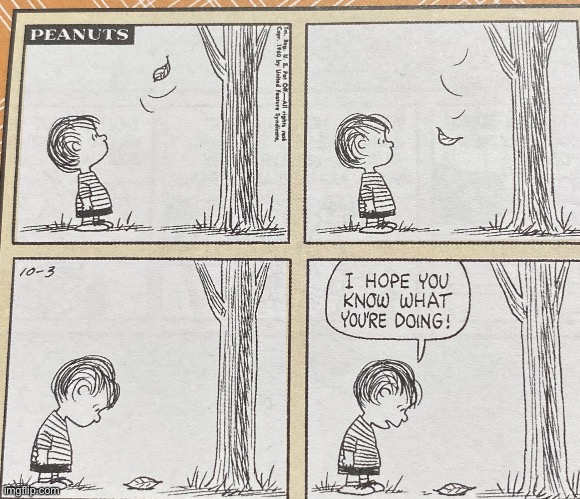 I Love Fall | image tagged in funny,meme,comic,peanuts,fall | made w/ Imgflip meme maker