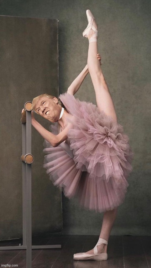 Ballerina stretch | image tagged in ballerina stretch | made w/ Imgflip meme maker