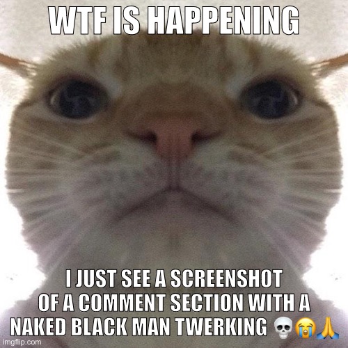Actually what’s happening, I just see bans with absolutely no reasoning at all | WTF IS HAPPENING; I JUST SEE A SCREENSHOT OF A COMMENT SECTION WITH A NAKED BLACK MAN TWERKING 💀😭🙏 | image tagged in staring cat/gusic | made w/ Imgflip meme maker