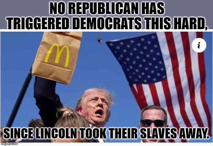 Trump McDonald’s | NO REPUBLICAN HAS TRIGGERED DEMOCRATS THIS HARD, SINCE LINCOLN TOOK THEIR SLAVES AWAY. | image tagged in trump mcdonald s | made w/ Imgflip meme maker