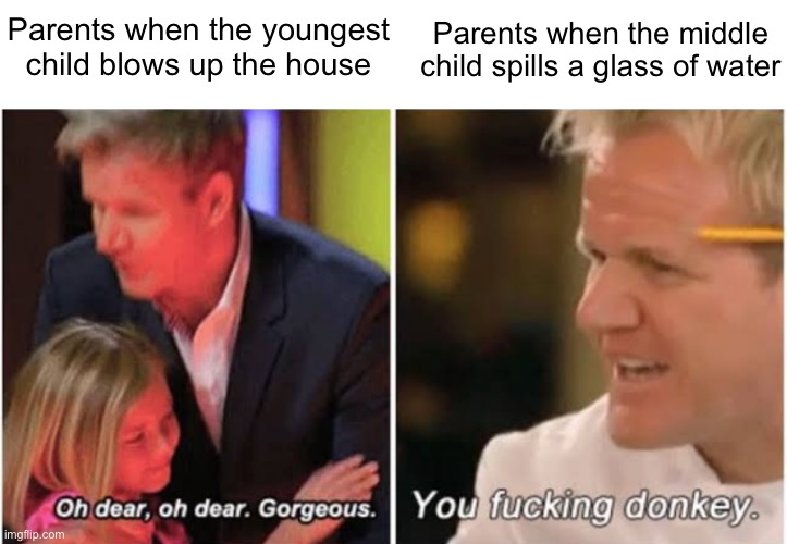 Gordon Ramsay kids vs adults | Parents when the youngest child blows up the house; Parents when the middle child spills a glass of water | image tagged in gordon ramsay kids vs adults | made w/ Imgflip meme maker