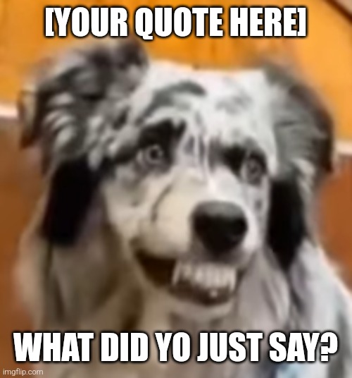 What did yo just say? (+Template) | [YOUR QUOTE HERE]; WHAT DID YO JUST SAY? | image tagged in what did yo just say,dog,smiling dog,memes,funny,bro | made w/ Imgflip meme maker