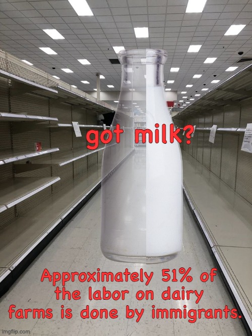 Without immigrants, no milk on the shelves. Don't let Trump's policies starve us! | got milk? Approximately 51% of the labor on dairy farms is done by immigrants. | image tagged in toilet paper empty shelves,milk,got milk,crisis,immigrants,food | made w/ Imgflip meme maker