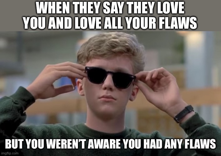 Flawless | WHEN THEY SAY THEY LOVE YOU AND LOVE ALL YOUR FLAWS; BUT YOU WEREN’T AWARE YOU HAD ANY FLAWS | image tagged in invented swag before it was cool,flawless,love,true love | made w/ Imgflip meme maker