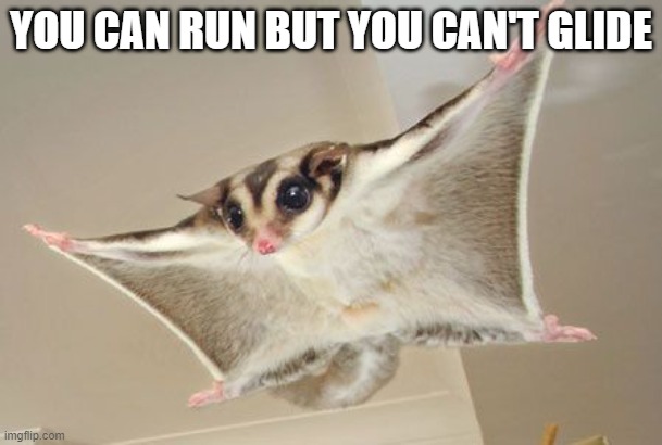 I'm coming | YOU CAN RUN BUT YOU CAN'T GLIDE | image tagged in i'm coming | made w/ Imgflip meme maker