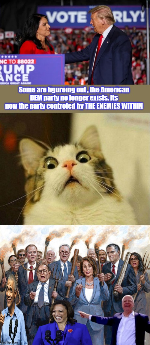 Former DEM joins the American Party. THE AMERICAN PARTY has a nice ring to it. | Some are figureing out , the American DEM party no longer exists. Its now the party controled by THE ENEMIES WITHIN | image tagged in memes,scared cat | made w/ Imgflip meme maker