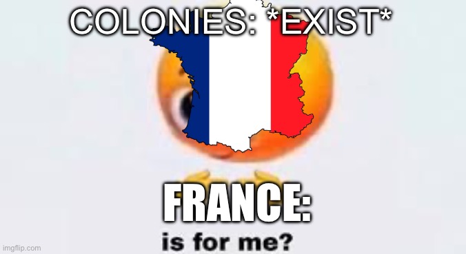 Napoleonic Wars in a nutshell | COLONIES: *EXIST*; FRANCE: | image tagged in is for me | made w/ Imgflip meme maker