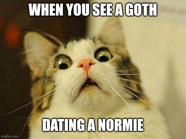 Scared Cat | WHEN YOU SEE A GOTH; DATING A NORMIE | image tagged in memes,scared cat | made w/ Imgflip meme maker