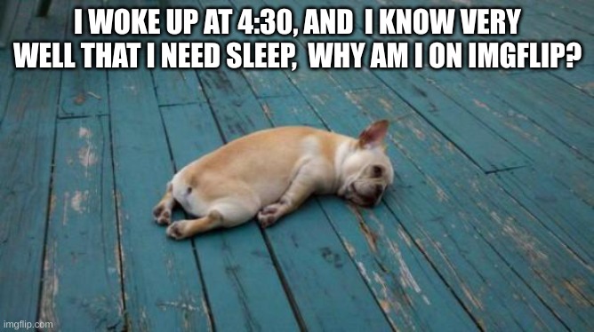 tired dog | I WOKE UP AT 4:30, AND  I KNOW VERY WELL THAT I NEED SLEEP,  WHY AM I ON IMGFLIP? | image tagged in tired dog | made w/ Imgflip meme maker