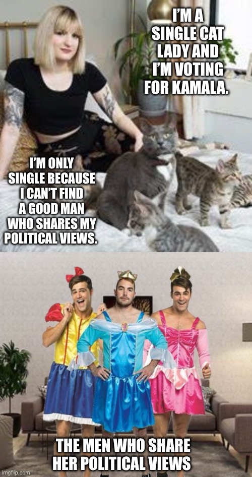 Single Cat Ladies for Kamala | I’M A SINGLE CAT LADY AND I’M VOTING FOR KAMALA. I’M ONLY SINGLE BECAUSE I CAN’T FIND A GOOD MAN WHO SHARES MY POLITICAL VIEWS. THE MEN WHO SHARE HER POLITICAL VIEWS | image tagged in cats,democrats,kamala harris | made w/ Imgflip meme maker