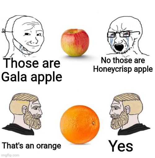 So many types of apples but only one type of oranges | No those are Honeycrisp apple; Those are Gala apple; Yes; That's an orange | image tagged in chad we know,memes,shitpost,fruit,oh wow are you actually reading these tags | made w/ Imgflip meme maker