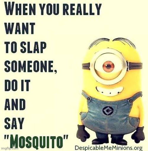 What a Novel Idea! | image tagged in mosquito,minions,despicable me,funny,sarcasm,sarcastic | made w/ Imgflip meme maker