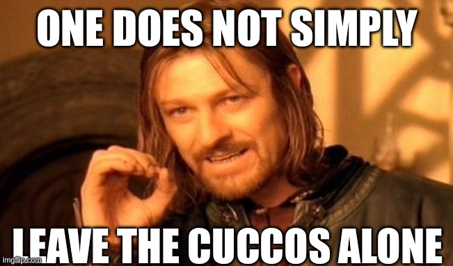 One Does Not Simply | ONE DOES NOT SIMPLY; LEAVE THE CUCCOS ALONE | image tagged in memes,one does not simply,legend of zelda,the legend of zelda breath of the wild,zelda,the legend of zelda | made w/ Imgflip meme maker