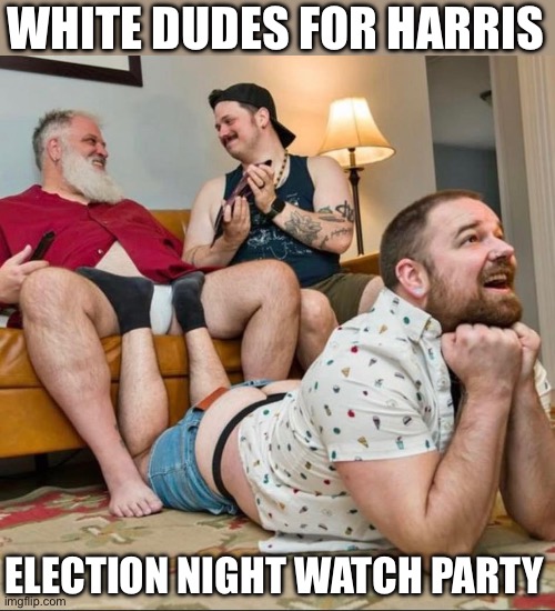 Election Night Watch Party | WHITE DUDES FOR HARRIS; ELECTION NIGHT WATCH PARTY | image tagged in white dudes for harris,election 2024 | made w/ Imgflip meme maker