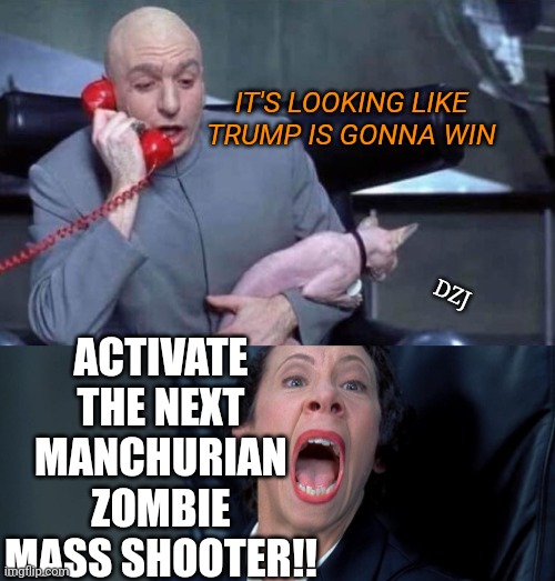 Deepstate: The Enemy Within | IT'S LOOKING LIKE TRUMP IS GONNA WIN; ACTIVATE THE NEXT MANCHURIAN ZOMBIE MASS SHOOTER!! DZJ | image tagged in dr evil and frau,libtards,morons,losers,deep state,you're fired | made w/ Imgflip meme maker