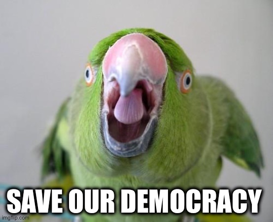 Parrot | SAVE OUR DEMOCRACY | image tagged in parrot | made w/ Imgflip meme maker