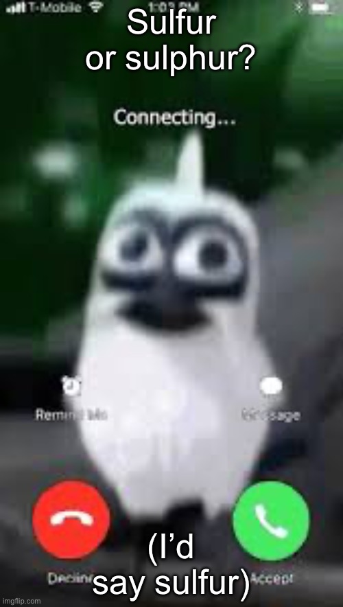 Facetime | Sulfur or sulphur? (I’d say sulfur) | image tagged in facetime | made w/ Imgflip meme maker
