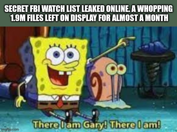 SECRET FBI WATCH LIST LEAKED ONLINE. A WHOPPING
 1.9M FILES LEFT ON DISPLAY FOR ALMOST A MONTH | image tagged in funny memes | made w/ Imgflip meme maker