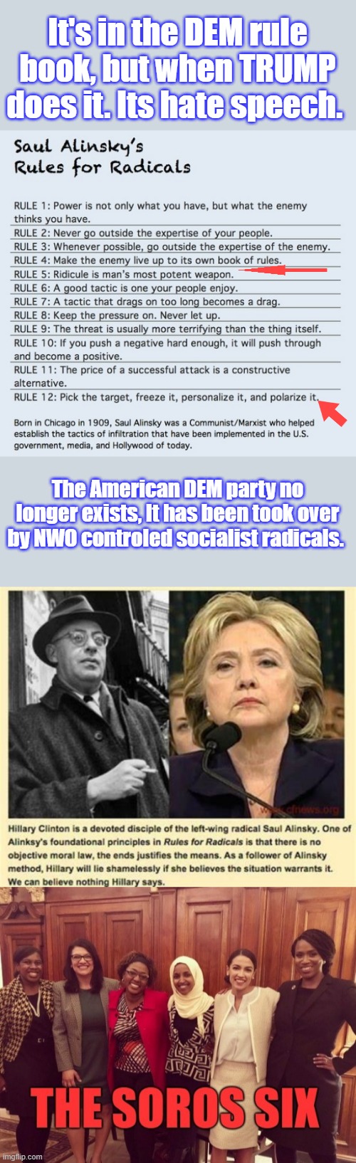 It's in the DEM rule book, but when TRUMP does it. Its hate speech. The American DEM party no longer exists, It has been took over by NWO controled socialist radicals. | made w/ Imgflip meme maker