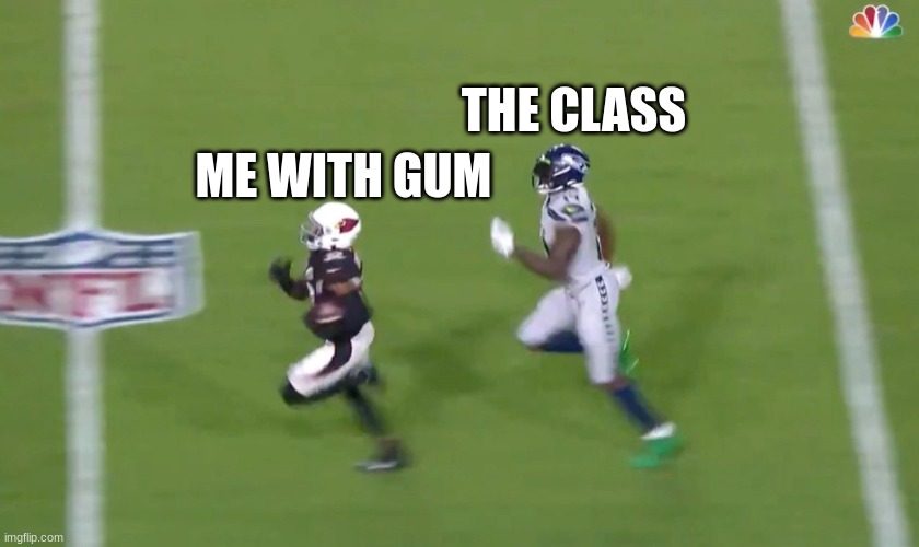 DK Metcalf Runs Down Buddha Baker | THE CLASS; ME WITH GUM | image tagged in dk metcalf runs down buddha baker | made w/ Imgflip meme maker