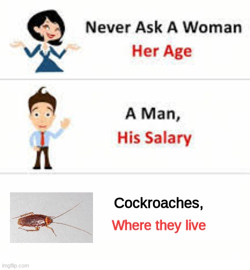 Just. Don't. Ask. | Cockroaches, Where they live | image tagged in never ask a woman her age | made w/ Imgflip meme maker