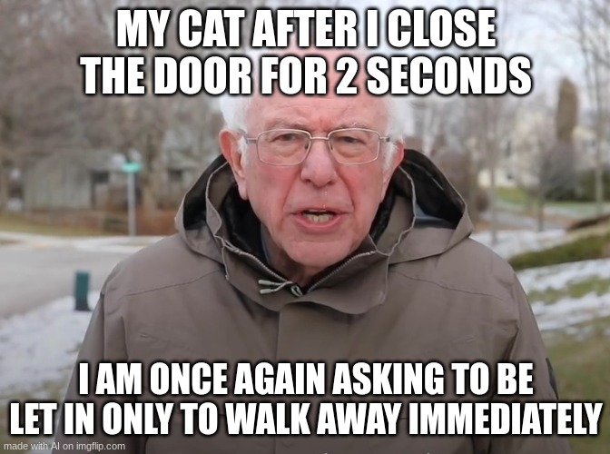 ermm | MY CAT AFTER I CLOSE THE DOOR FOR 2 SECONDS; I AM ONCE AGAIN ASKING TO BE LET IN ONLY TO WALK AWAY IMMEDIATELY | image tagged in bernie sanders once again asking | made w/ Imgflip meme maker