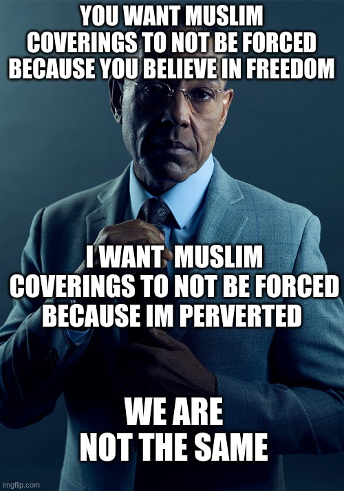 Gus Fring we are not the same | YOU WANT MUSLIM COVERINGS TO NOT BE FORCED BECAUSE YOU BELIEVE IN FREEDOM; I WANT  MUSLIM COVERINGS TO NOT BE FORCED BECAUSE IM PERVERTED; WE ARE NOT THE SAME | image tagged in gus fring we are not the same | made w/ Imgflip meme maker