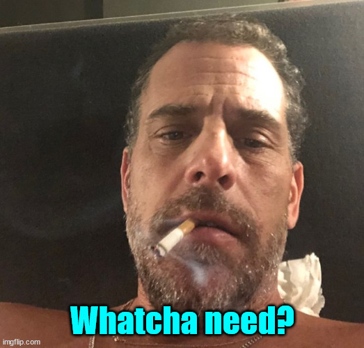 Hunter Biden | Whatcha need? | image tagged in hunter biden | made w/ Imgflip meme maker