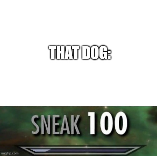 Sneak 100 | THAT DOG: | image tagged in sneak 100 | made w/ Imgflip meme maker