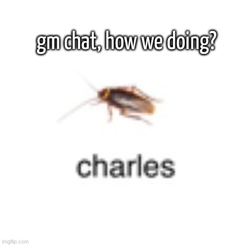 Charles Entertainment Cheese | gm chat, how we doing? | image tagged in low quality bug charles | made w/ Imgflip meme maker