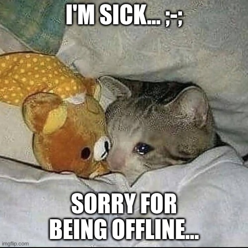 sowry... | I'M SICK... ;-;; SORRY FOR BEING OFFLINE... | image tagged in crying cat in bed | made w/ Imgflip meme maker