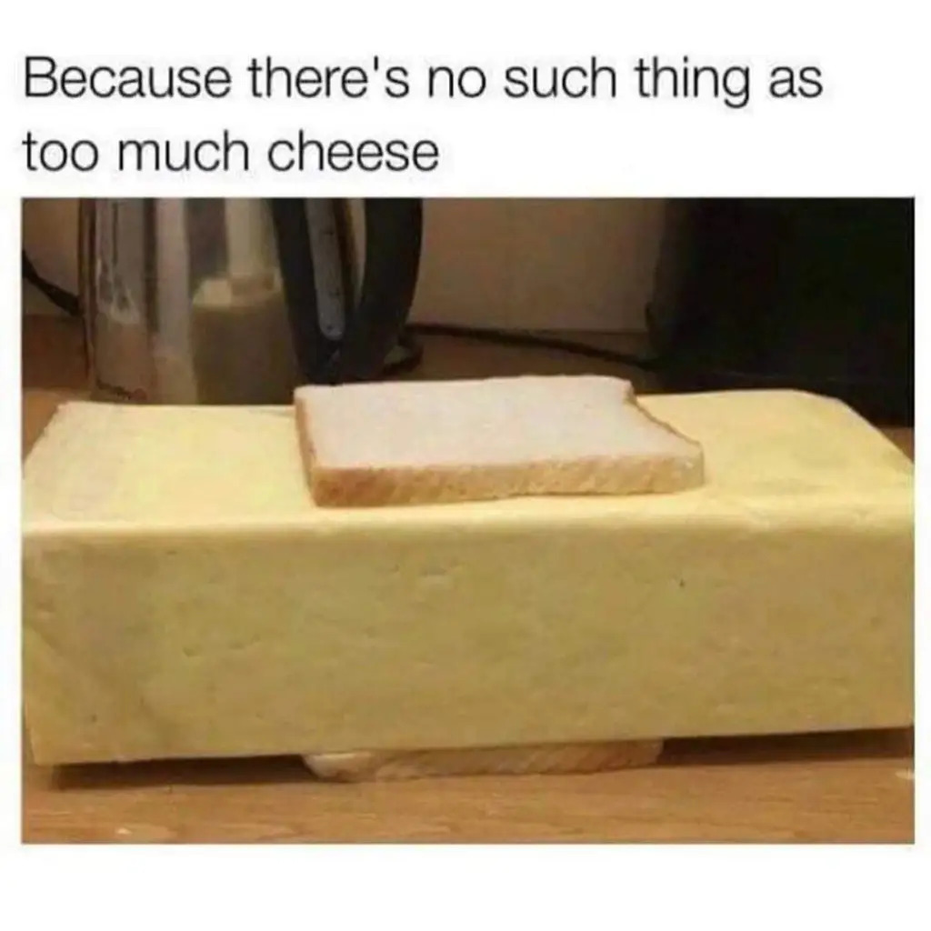 High Quality Cheese Blank Meme Template