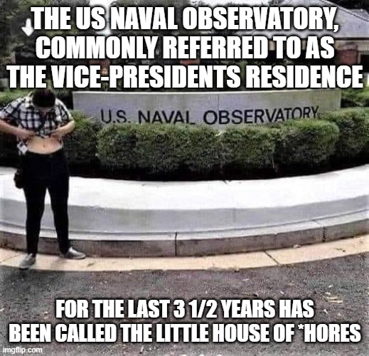 Naval Observatory | THE US NAVAL OBSERVATORY, COMMONLY REFERRED TO AS THE VICE-PRESIDENTS RESIDENCE; FOR THE LAST 3 1/2 YEARS HAS BEEN CALLED THE LITTLE HOUSE OF *HORES | image tagged in naval observatory | made w/ Imgflip meme maker