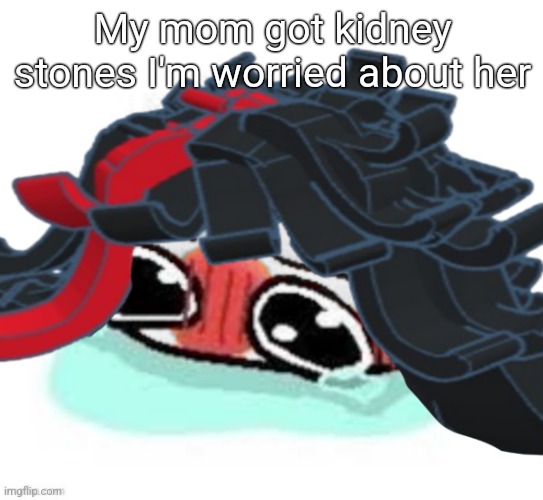 Amb shamb bbbmba | My mom got kidney stones I'm worried about her | image tagged in amb shamb bbbmba | made w/ Imgflip meme maker