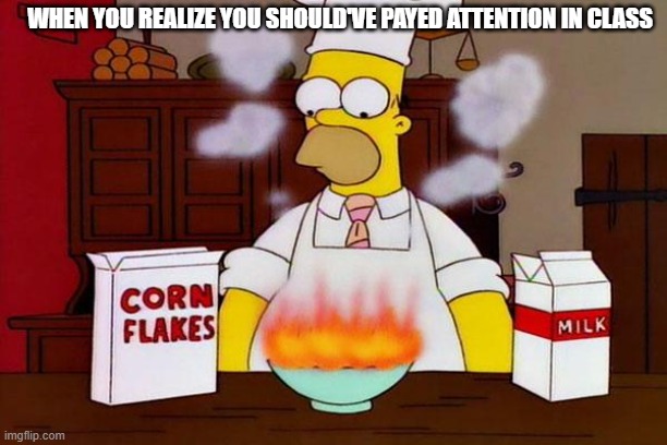 Some kid almost started a fire | WHEN YOU REALIZE YOU SHOULD'VE PAYED ATTENTION IN CLASS | image tagged in cooking | made w/ Imgflip meme maker