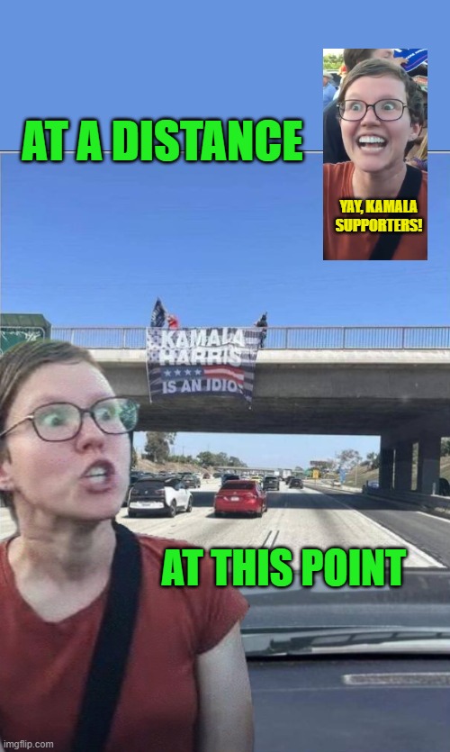 Meanwhile, on the Freeway | AT A DISTANCE; YAY, KAMALA SUPPORTERS! AT THIS POINT | image tagged in kamala,idiot,sign | made w/ Imgflip meme maker