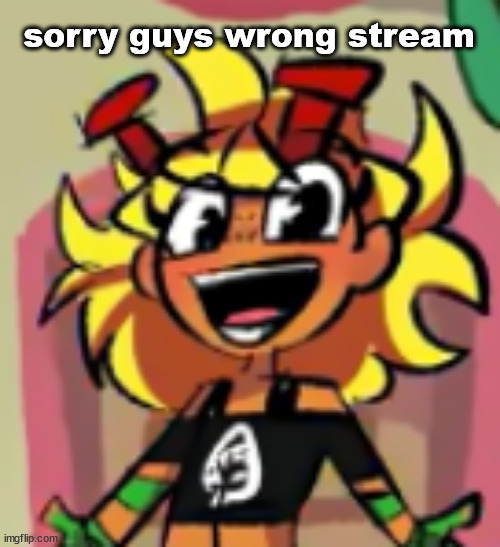 joyous | sorry guys wrong stream | image tagged in joyous | made w/ Imgflip meme maker