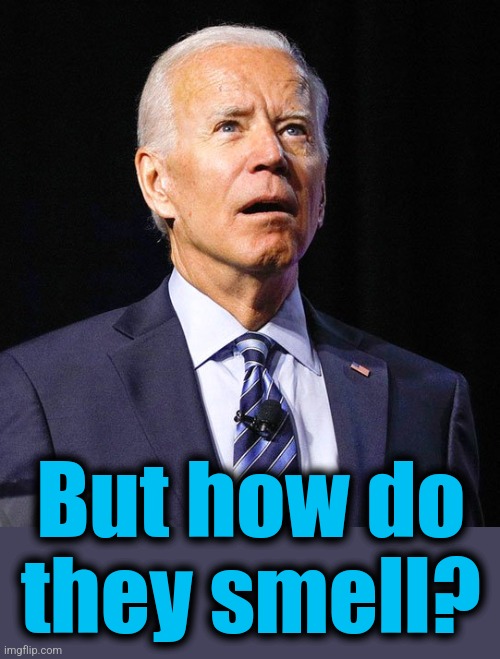 Joe Biden | But how do
they smell? | image tagged in joe biden | made w/ Imgflip meme maker