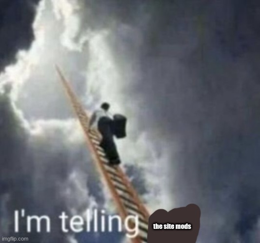 Hopefully they'll do what is right. | the site mods | image tagged in im telling god | made w/ Imgflip meme maker