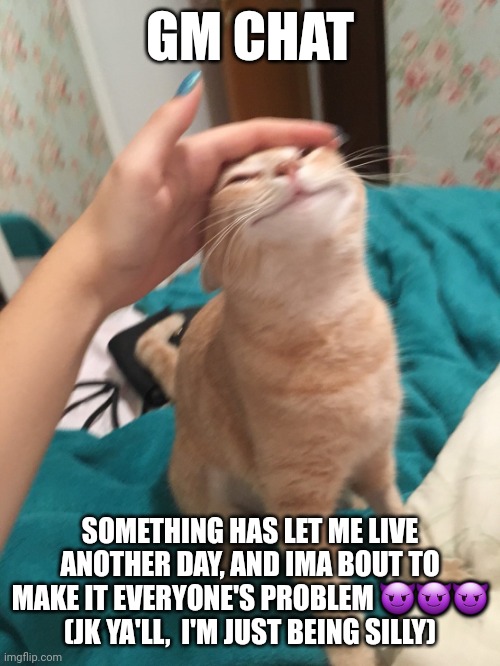 >:3 | GM CHAT; SOMETHING HAS LET ME LIVE ANOTHER DAY, AND IMA BOUT TO MAKE IT EVERYONE'S PROBLEM 😈😈😈
(JK YA'LL,  I'M JUST BEING SILLY) | image tagged in cat pat | made w/ Imgflip meme maker