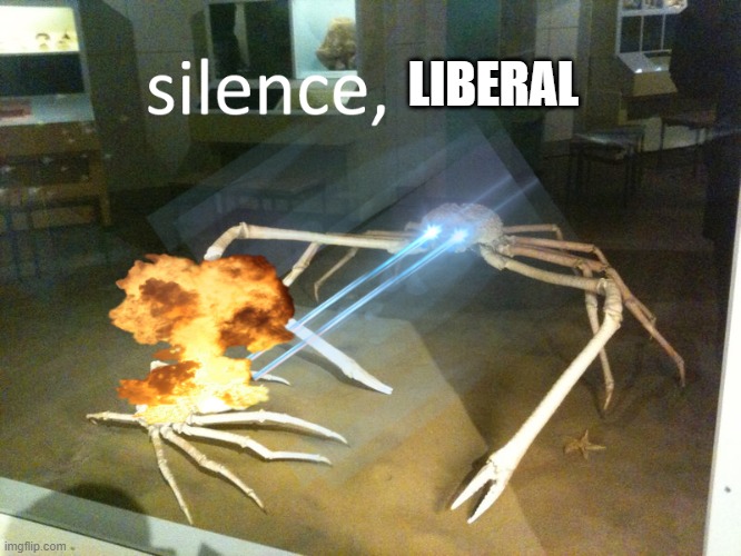 silence | LIBERAL | image tagged in silence | made w/ Imgflip meme maker