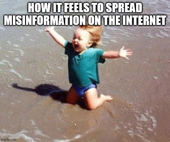 Beach Euphoria | HOW IT FEELS TO SPREAD MISINFORMATION ON THE INTERNET | image tagged in beach euphoria | made w/ Imgflip meme maker
