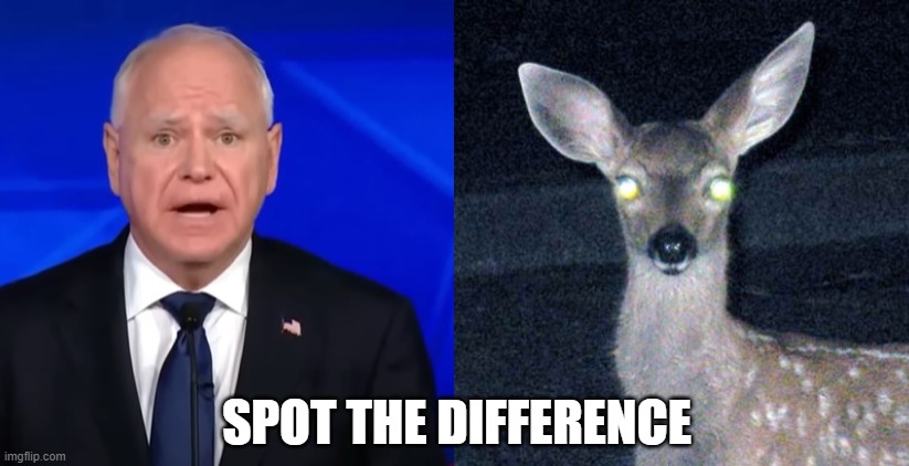 bug-eyed walz | SPOT THE DIFFERENCE | image tagged in deer | made w/ Imgflip meme maker